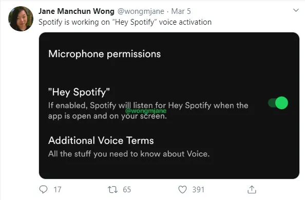jane-manchun-wong-spotify – mobile marketing reads