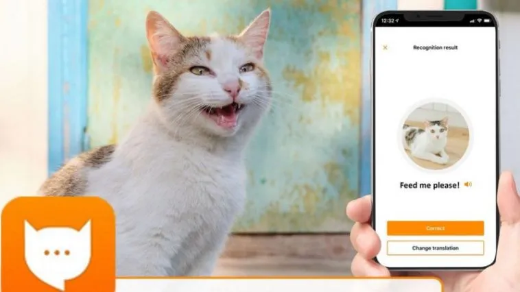 meowtalk – mobile marketing reads