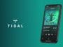 tidal-music-streaming-service – mobile marketing reads