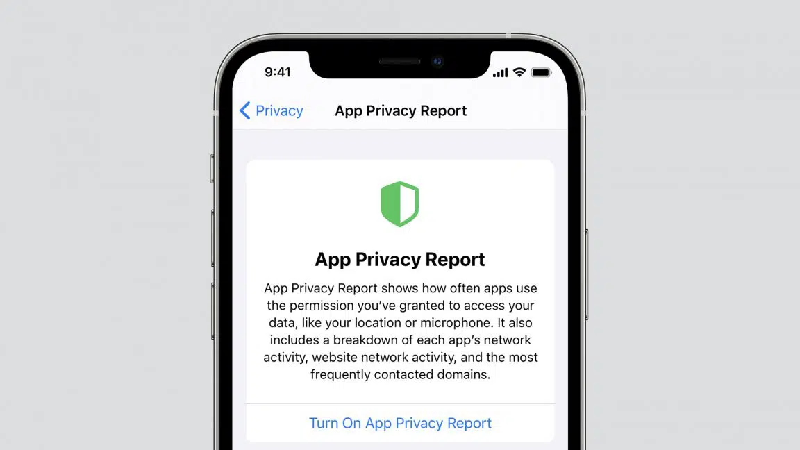iOS 15.2 beta brings App Privacy Report