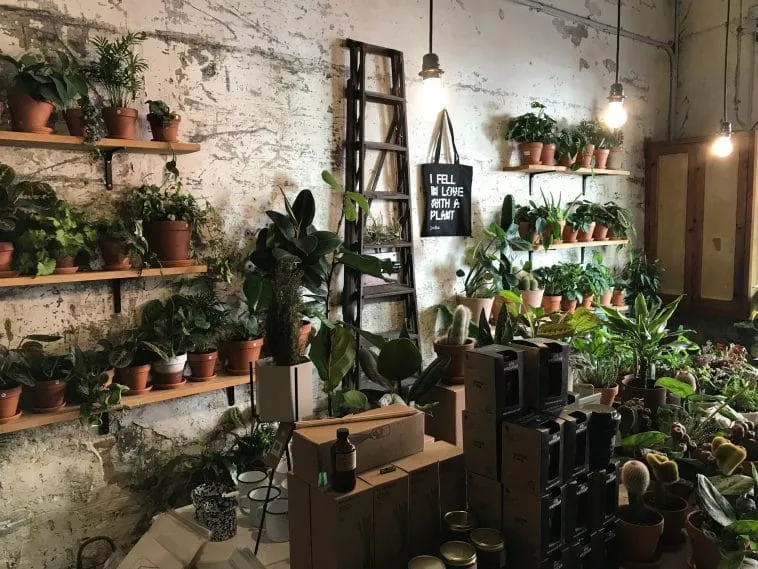 plant-identification-apps – mobile marketing reads