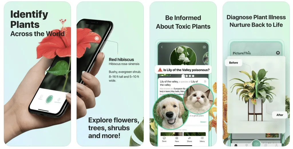 picturethis – mobile marketing reads