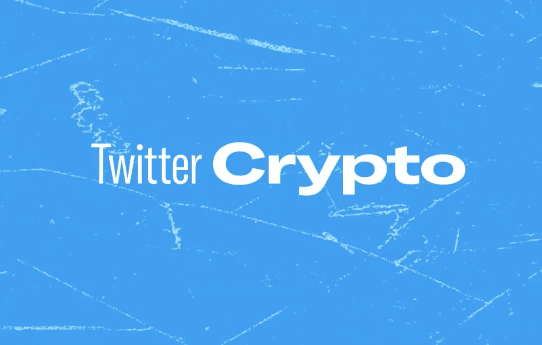 Twitter builds a crypto team to explore decentralized apps