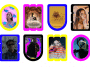 pinterest-buys-vochi – mobile marketing reads