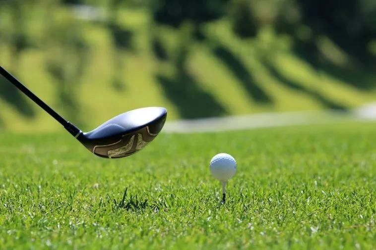 golf-gb05013eb9_1280 – mobile marketing reads