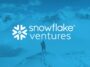snowflake-ventures – mobile marketing reads