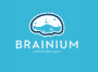 brainium-playstudios – mobile marketing reads