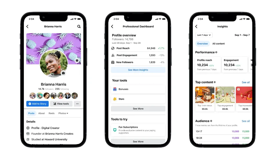 professional-mode-for-facebook-profiles – mobile marketing reads