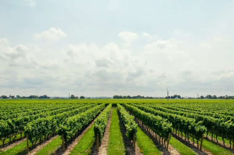 best-agriculture-apps – mobile marketing reads