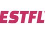 testfly logo – mobile marketing reads