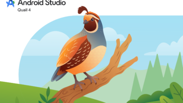 Colorful quail perched on a brown branch against a blue sky and green hills, as Android Studio Quail 4 branding appears to the left.